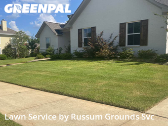 Grass Cutting nearby Brandon, MS, 