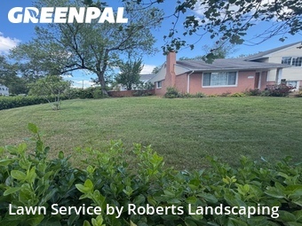 Grass Cutting nearby Springfield, VA, 