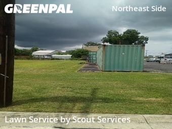 Lawn Cut nearby Converse, TX, 
