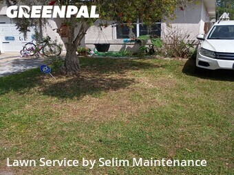 Lawn Service nearby St. Augustine, FL, 
