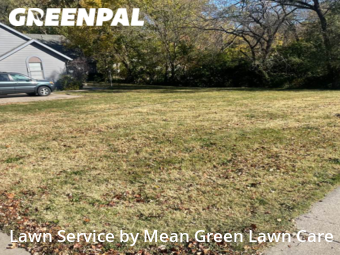 Yard Cutting nearby Raytown, MO, 