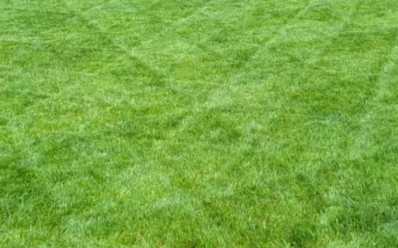 Work Image 1