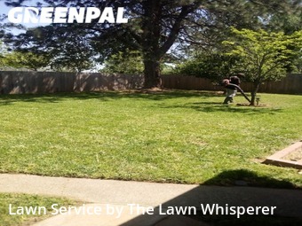 Lawn Service nearby Folsom, CA, 
