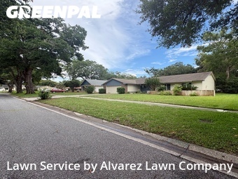 Lawn Care Servicein Altamonte Springs,32701,Lawn Cutting by Alvarez Lawn Company, work completed in Jun , 2026