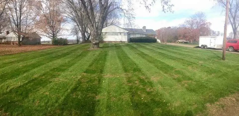 Chemical-Free Weed Control: Easy and Effective Methods