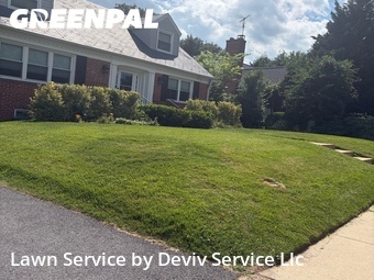 Lawn Mow nearby Silver Spring, MD, 