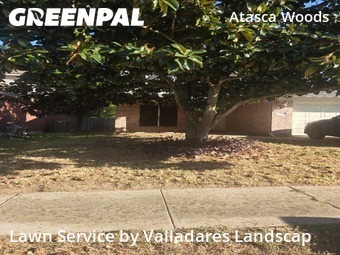 Yard Mowingin Humble,77346,Lawn Care Service by Valladares Landscap, work completed in Nov , 2025