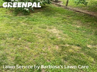 Yard Mowing nearby Asheville, NC, 