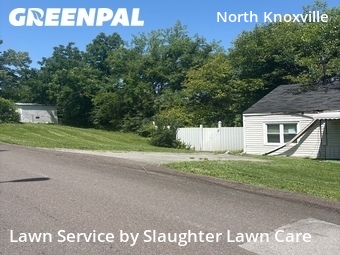 Lawn Service nearby Knoxville, TN, 