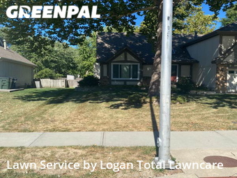 Grass Cut nearby Olathe, KS, 