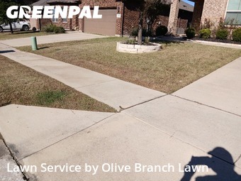 Lawn Upkeep in Roanoke, 76262, Lawn Care by Olive Branch Lawn, work completed in Dec , 2025