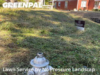 Lawn Cut nearby Atlanta, GA, 