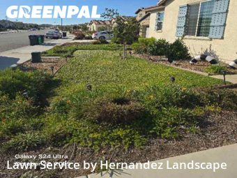 Lawn Upkeep in Beaumont, 92223, Lawn Services by Hernandez Landscape, work completed in Nov , 2025