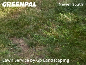 Lawn Service nearby Charlotte, NC, 