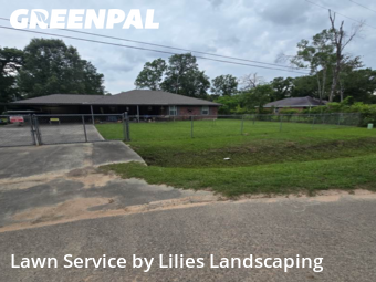 Grass Cuttingin Porter,77365,Grass Cut by Lilies Landscaping, work completed in Dec , 2025