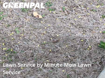 Grass Cutting nearby Independence, MO, 