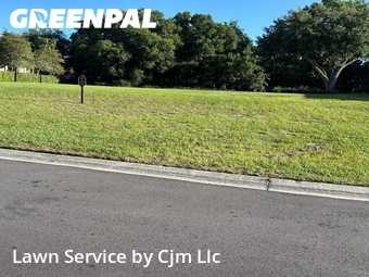 Grass Cutin Clermont,34711,Lawn Mowing by Cjm Llc, work completed in Jun , 2026