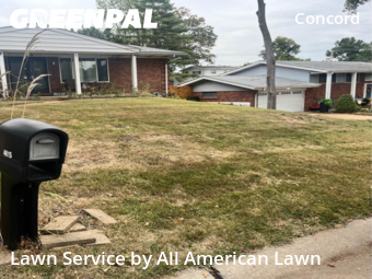 Lawn Care Service nearby St. Louis, MO, 