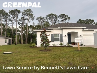 Lawn Cut nearby Palm Coast, FL, 