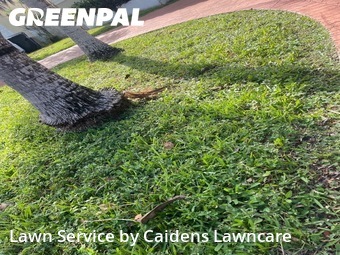 Lawn Maintenance nearby Surfside, FL, 