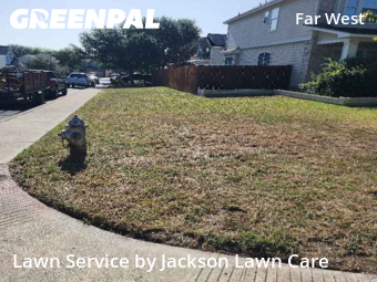 Grass Cut nearby San Antonio, TX, 