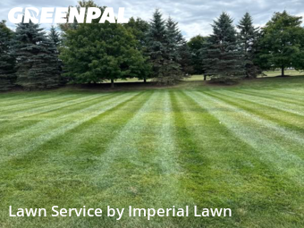 Grass Cutting nearby Canton, MI, 