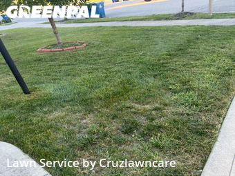 Grass Cut nearby Noblesville, IN, 