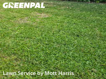 Grass Cutting nearby Margate, FL, 