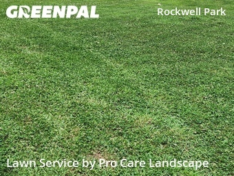 Yard Cutting nearby Charlotte, NC, 