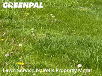 Yard Mowing nearby Ann Arbor, MI, 