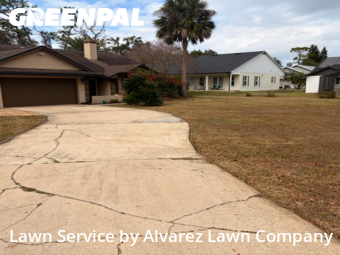 Lawn Care Servicein Winter Springs,32708,Lawn Cutting by Alvarez Lawn Company, work completed in Feb , 2026