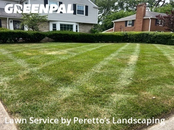 Lawn Mowing Service nearby Shaker Heights, OH, 
