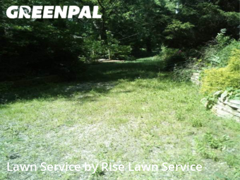 Grass Cutting nearby Bettendorf, IA, 