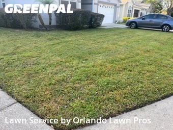 Lawn Cutting nearby Orlando, FL, 