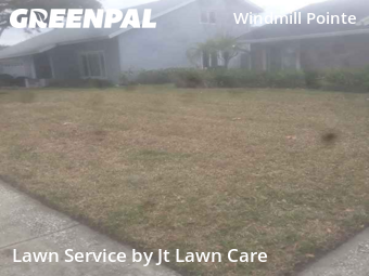 Yard Mowing nearby Palm Harbor, FL, 