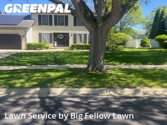 Grass Cutting nearby Carol Stream, IL, 