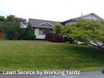 Lawn Mow nearby Pacific, WA, 