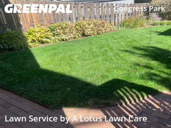 Yard Mowing nearby Denver, CO, 