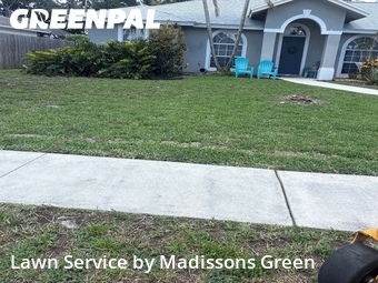 Lawn Mow nearby Royal Palm Beach, FL, 