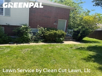 Lawn Maintenancein Blue Springs,64014,Grass Cutting by Clean Cut Lawn, Llc, work completed in Jun , 2026
