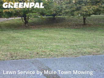 Grass Cutin Brentwood,37027,Lawn Care by Mule Town Mowing , work completed in Jan , 2026