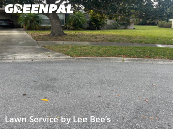 Lawn Mowing nearby Winter Park, FL, 