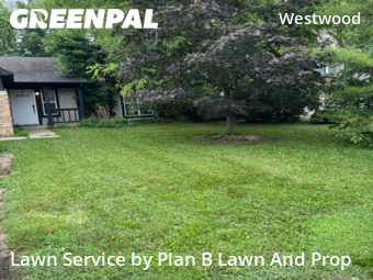 Grass Cut nearby Indianapolis, IN, 