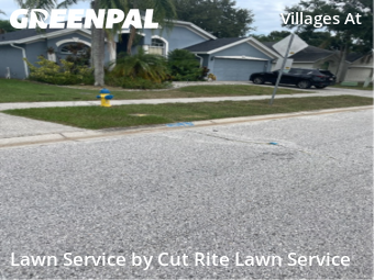 Lawn Service nearby Wesley Chapel, FL, 