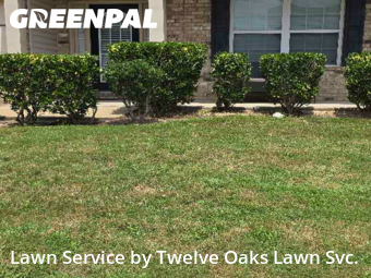 Lawn Cut nearby Phenix City, GA, 