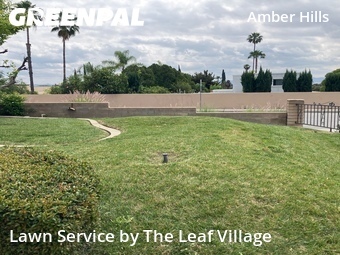 Yard Cutting nearby Highland, CA, 