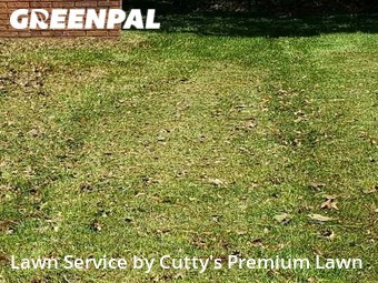 Grass Cut nearby Liberty, MO, 