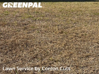 Lawn Mowing nearby Bradenton, FL, 