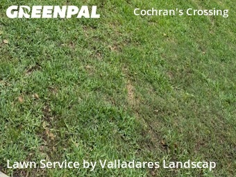 Lawn Care Servicein The Woodlands,77381,Lawn Care by Valladares Landscap, work completed in Jun , 2026