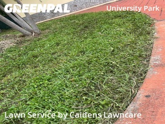 Lawn Mowing nearby Miami, FL, 